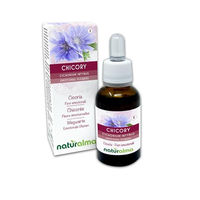 Produktbild von Naturalma Wegwarte Cichorium intybus Bachblüten Tropfen 30 ml vegan ohne Zusatzstoffe
