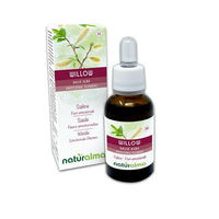 Produktbild von Naturalma Weide Salix alba var. vitellina Bachblüten Tropfen 30 ml vegan ohne Zusatzstoffe
