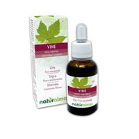 Produktbild von Naturalma Weinrebe Vitis vinifera Bach-Blüten Tropfen 30 ml vegan ohne Zusatzstoffe