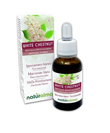 Naturalma Weiße Rosskastanie Aesculus hippocastanum Bachblüten Tropfen 30 ml vegan ohne Zusatzstoffe – Bild 1 von 2