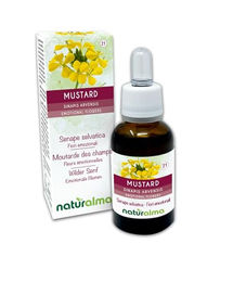Naturalma Wilder Senf Sinapis arvensis Bach-Blüten Tropfen 30 ml vegan ohne Zusatzstoffe – Bild 1 von 2