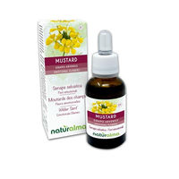 Produktbild von Naturalma Wilder Senf Sinapis arvensis Bach-Blüten Tropfen 30 ml vegan ohne Zusatzstoffe