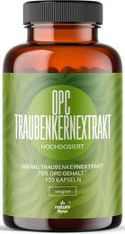 Nature Flow OPC Traubenkernextrakt 500 mg vegan Kapseln 120 Stück – Bild 1 von 1