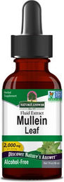 Nature's Answer Mullein Leaf Extract Kleinblütiges Königskerzenblatt-Extrakt Flüssig Vegan – Bild 1 von 1