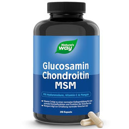 Nature's Way Glucosamin Chondroitin MSM Kapseln – Bild 1 von 5