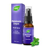 Produktbild von Nature's Way Melatonin Spray vegan und zuckerfrei 160 ml
