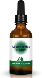 natürlich lang leben Lactobacillus Tropfen zuckerfrei und ohne Zusatzstoffe – Bild 1 von 3