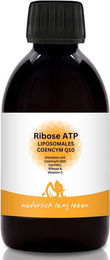 natürlich lang leben Liposomales Coenzym Q10 mit Ribose ATP Ubiquinon Flüssig Vegan ohne Zusatzstoffe glutenfrei laktosefrei – Bild 1 von 3