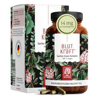 Produktbild von Naturtreu Eisen Komplex mit Vitamin C und Fenchel Bisglycinat vegan 120 Kapseln ohne Zusatzstoffe und ohne Gelatine