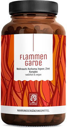NATURTREU Flammengarde Weihrauch Kurkuma Ingwer hochdosiert mit Curcumin Extrakt vegane Kapseln 90 Stück – Bild 1 von 1