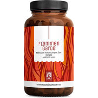 Produktbild von NATURTREU Flammengarde Weihrauch Kurkuma Ingwer hochdosiert mit Curcumin Extrakt vegane Kapseln 90 Stück