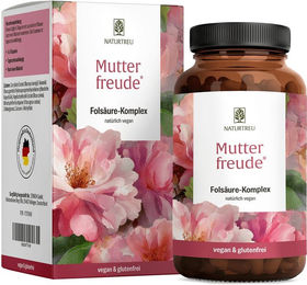 NATURTREU Folsäure Komplex mit Mönchspfecher, Eisen und Zink, hochdosiert, 90 vegane Kapseln für Schwangere und Stillende – Bild 1 von 1