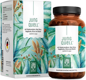 NATURTREU Hyaluronsäure Biotin Komplex mit Aloe Vera und Hirse Extrakt vegane Kapseln 90 Stück – Bild 1 von 1