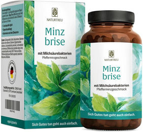 NATURTREU Minzbrise Lutschtabletten vegan ohne Zusatzstoffe – Bild 1 von 1