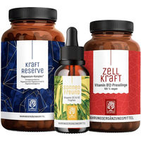 Produktbild von NATURTREU Sonnenkraft Paket mit Flechten Komplex vegan und ohne Zusatzstoffe