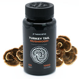 Neocana Turkey Tail Pilz Kapseln mit Truthahnschwanzpilz Extrakt Trametes versicolor vegan glutenfrei laktosefrei 60 Stück – Bild 1 von 3