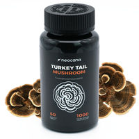 Produktbild von Neocana Turkey Tail Pilz Kapseln mit Truthahnschwanzpilz Extrakt Trametes versicolor vegan glutenfrei laktosefrei 60 Stück