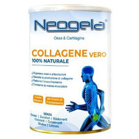 Produktbild von Neogela Pulver ohne Zusatzstoffe 400 g