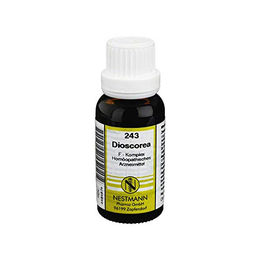 Nestmann Pharma DIOSCOREA F Komplex Nr.243 Dilution 20 ml Flüssigkeit – Bild 1 von 1