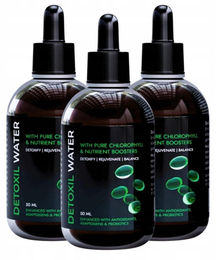Ngs Detoxil Water Tropfen mit pflanzlichem Ursprung 50 ml – Bild 1 von 1