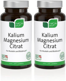 nicapur Kalium Magnesium Citrat Kapseln 120 Stück – Bild 1 von 1
