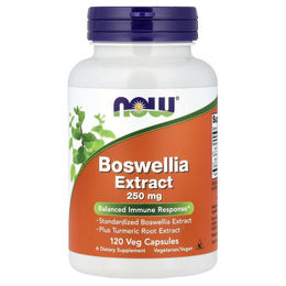NOW Foods Boswellia Weihrauch-Extrakt 250 mg vegetarische Kapseln 120 Stück – Bild 1 von 1
