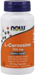 NOW FOODS L-Carnosin Kapseln vegan und vegetarisch – Bild 1 von 1
