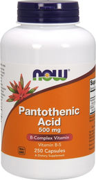 NOW Foods Pantothensäure 500 mg 250 Kapseln – Bild 1 von 2