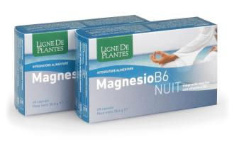 NUI Magnesium B6 Kombipräparat mit pflanzlichem Ursprung 60 Kapseln – Bild 1 von 1
