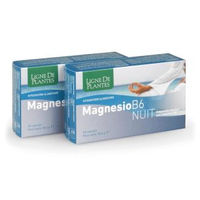 Produktbild von NUI Magnesium B6 Kombipräparat mit pflanzlichem Ursprung 60 Kapseln