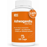 Produktbild von NUTRIBRAIN Ashwagandha Kapseln ohne Zusatzstoffe 120 Stück