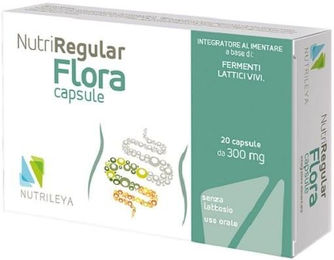 NUTRIREGULAR FLORA Kapseln glutenfrei 20 Stück – Bild 1 von 1