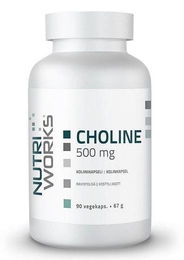 NutriWorks Cholin 500 mg Kapseln ohne Zusatzstoffe für Sportler – Bild 1 von 1