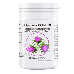OLDELA Silymarin Premium mit Cholin und Mariendistel 80% Silymarin vegan 60 Kapseln – Bild 1 von 2