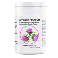 Produktbild von OLDELA Silymarin Premium mit Cholin und Mariendistel 80% Silymarin vegan 60 Kapseln