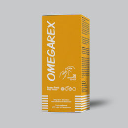 OMEGAREX Gruppo Farmaimpresa Omega-3 Sticks 20 Packungen – Bild 1 von 1