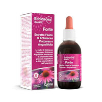 Produktbild von Optima Naturals Echineacea Benefit Extrakt Forte 50 ml Flüssig