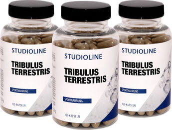 Originalis B.V. Tribulus Terrestris Hochdosiert 775 mg Kapseln 120 Stück ohne Zusatzstoffe – Bild 1 von 4