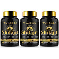 Produktbild von P-beauty Himalaya Shilajit Mumijo Kapseln 10:1 Extrakt mit 40% Fulvinsäure für Sportler 60 Kapseln