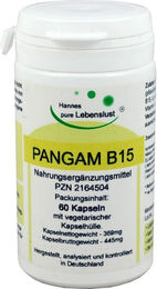 Pangam Vitamin B15 Kapseln 60 Stück – Bild 1 von 1