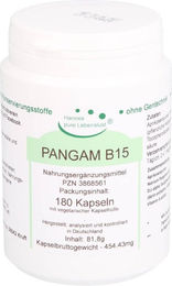 Pangam Vitamin B15 Vegetarische Kapseln 180 Stück – Bild 1 von 1