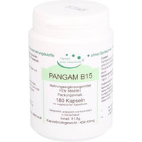 Produktbild von Pangam Vitamin B15 Vegetarische Kapseln 180 Stück