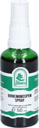 Pater Severin Birkenknospen Spray – Bild 1 von 2