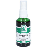 Produktbild von Pater Severin Birkenknospen Spray