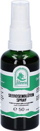 Pater Severin Seerosenblüten Spray – Bild 1 von 2