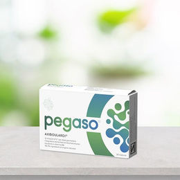 Pegaso Axiboulardi Junior Sticks glutenfrei und laktosefrei für Kinder 14 Beutel – Bild 1 von 1