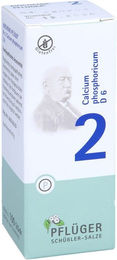 Pflüger Schüßler-Salz Nr. 2 Calcium phosphoricum D6 Tabletten glutenfrei 100 Stück – Bild 1 von 2