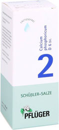 Pflüger Schüßler-Salz Nr. 2 Calcium phosphoricum D6 Tropfen 100 ml glutenfrei – Bild 1 von 3