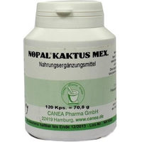 Produktbild von Pharma Peter Nopal Kaktus mex. Kapseln 120 Stück