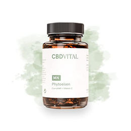 Phyto Eisen Kapseln 14 mg pflanzlich vegan 60 Kapseln – Bild 1 von 2